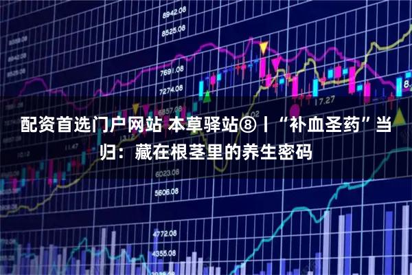 配资首选门户网站 本草驿站⑧丨“补血圣药”当归：藏在根茎里的养生密码